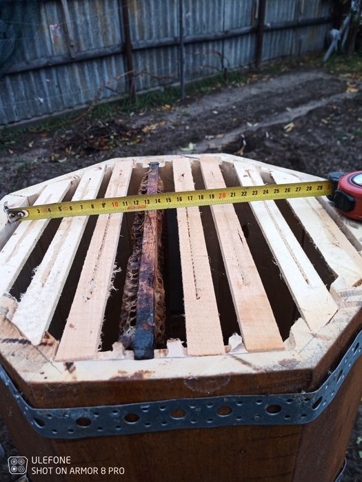 Продам бортьи для пчел