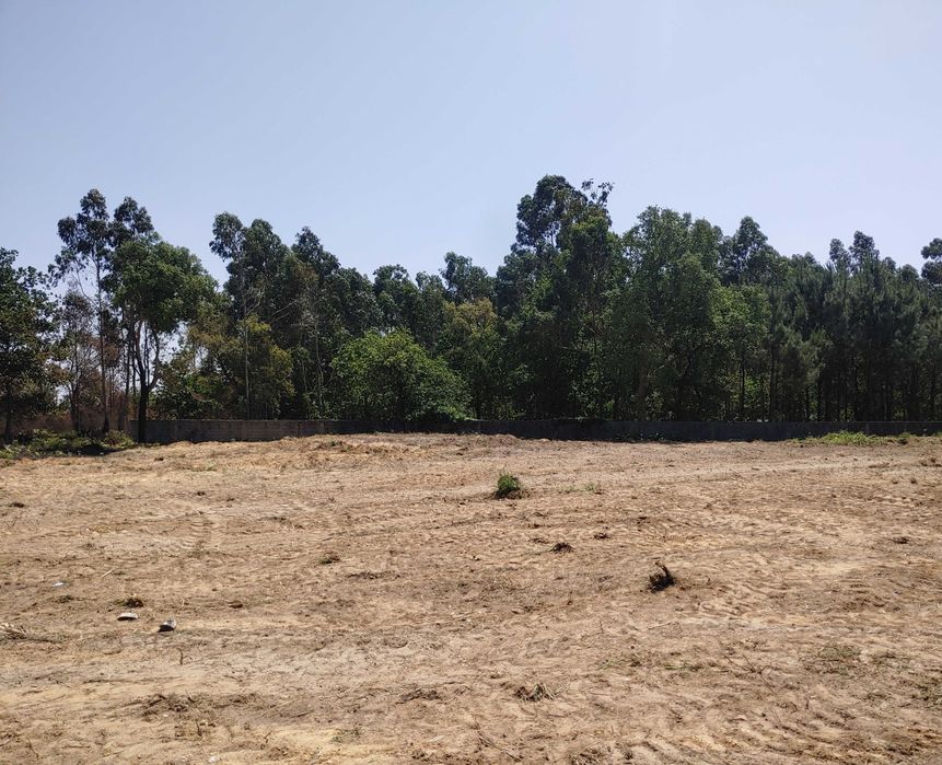 Terreno Rústico 3.030 m2 para Arrendamento em Lavra (Matosinhos)