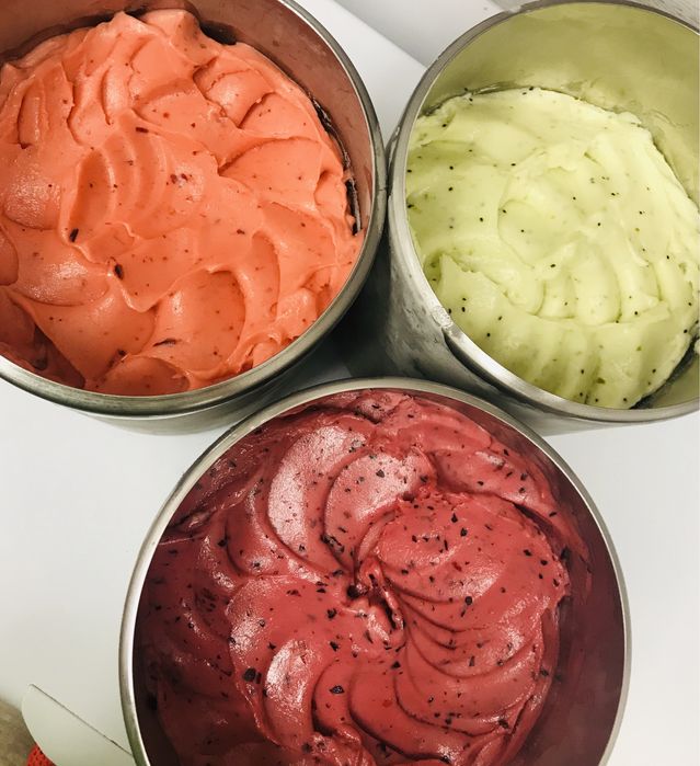 Бизнес по производству и продаже натурального мороженого