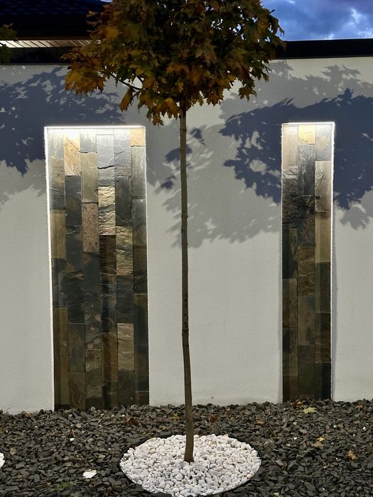 Сучасний будинок Райський Сад