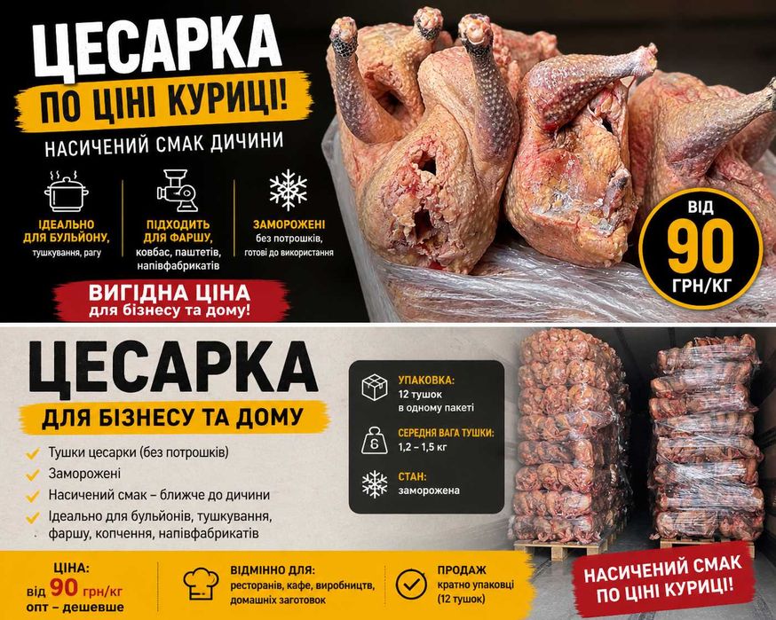 Цесарка (м’ясо, тушки) за ціною курки | Насичений смак, корисне м’ясо