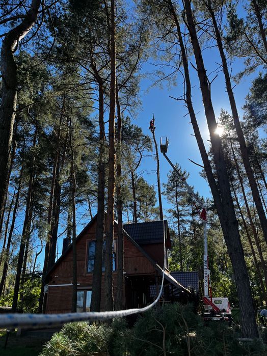 Usługi podnośnikiem koszowym
