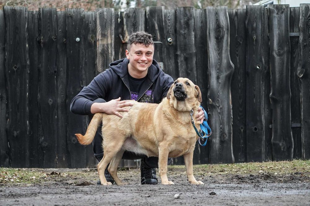 Kenta - super pozytywna sunia szuka domu