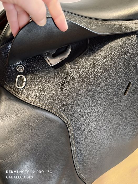 17 cali Ikonic classic siodło wszechstronne, skokowe Id.260