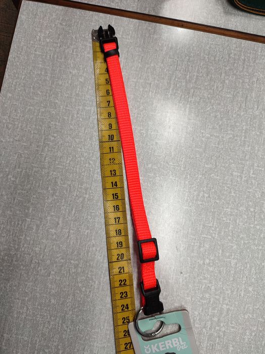 Trela para cão pequeno