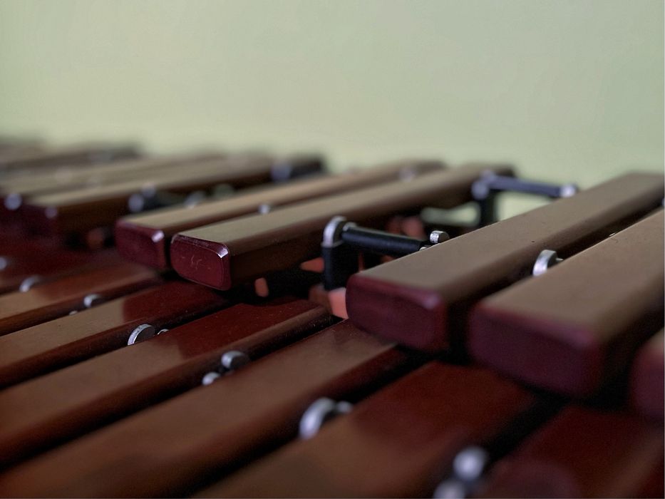 Ksylofon + statyw gratis