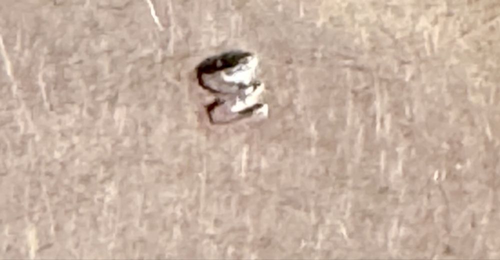 Винтажная брошь. Балтийский янтарь