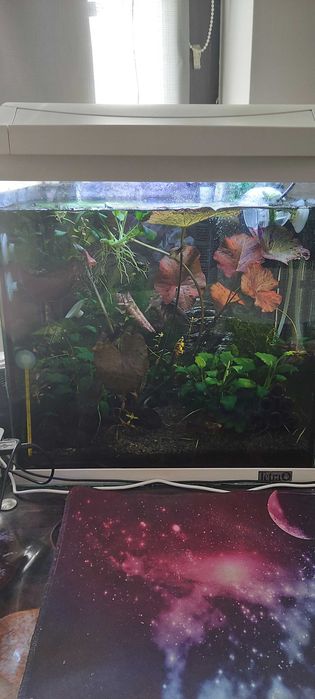 Aquarium set. Tetra AquaArt led 30l