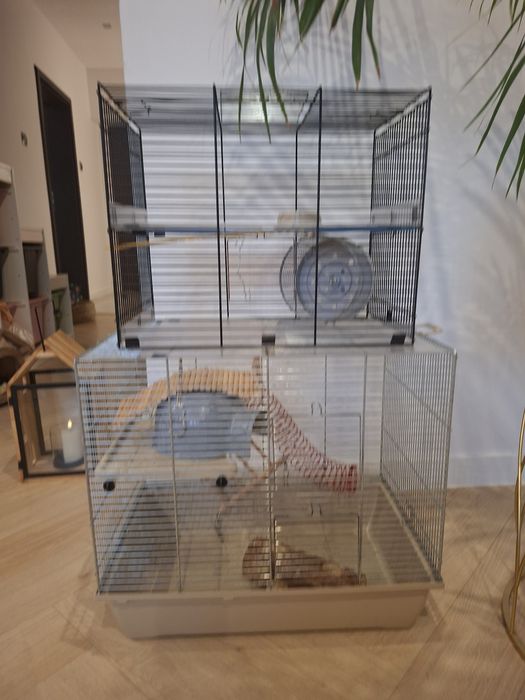 Klatka dla chomika swinki morskiej