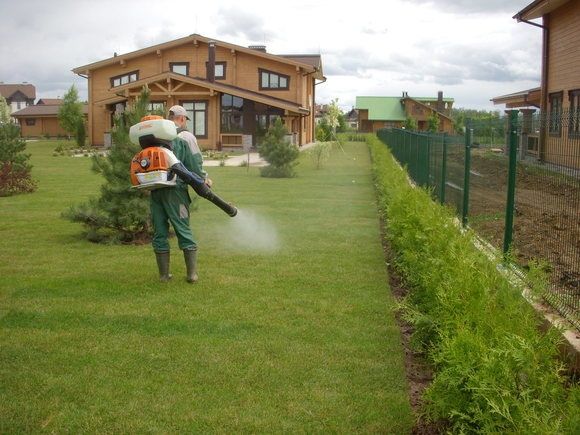 Озеленення. Благоустрій. Догляд. Автополив.