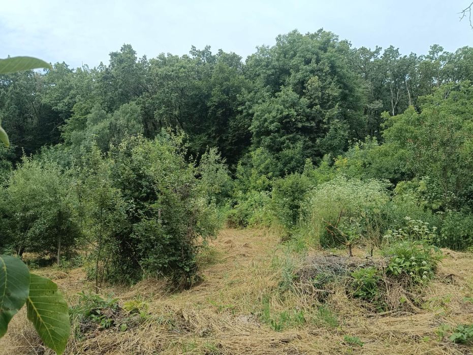 Земельна ділянка під забудову