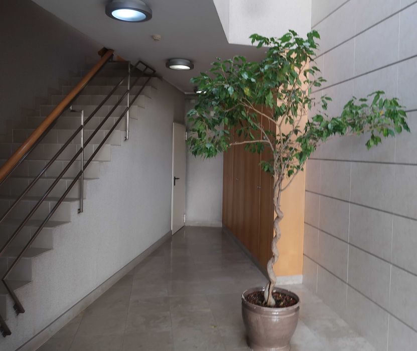 Arrenda-se Escritório Junto à Câmara Municipal Gondomar