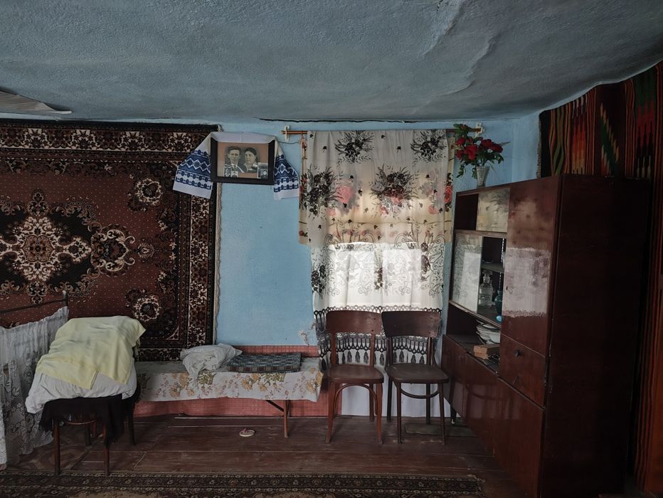 Хата, літня кухня, сараї, город