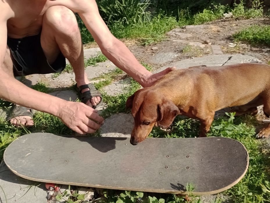 Скейт легкий, професійний, універсальний