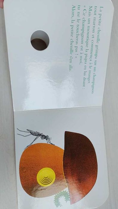 Książka francuska dla dzieci Livre français pour enfants Un petit trou