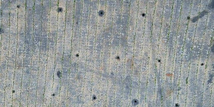 Sztuczna Trawa Pilkarska