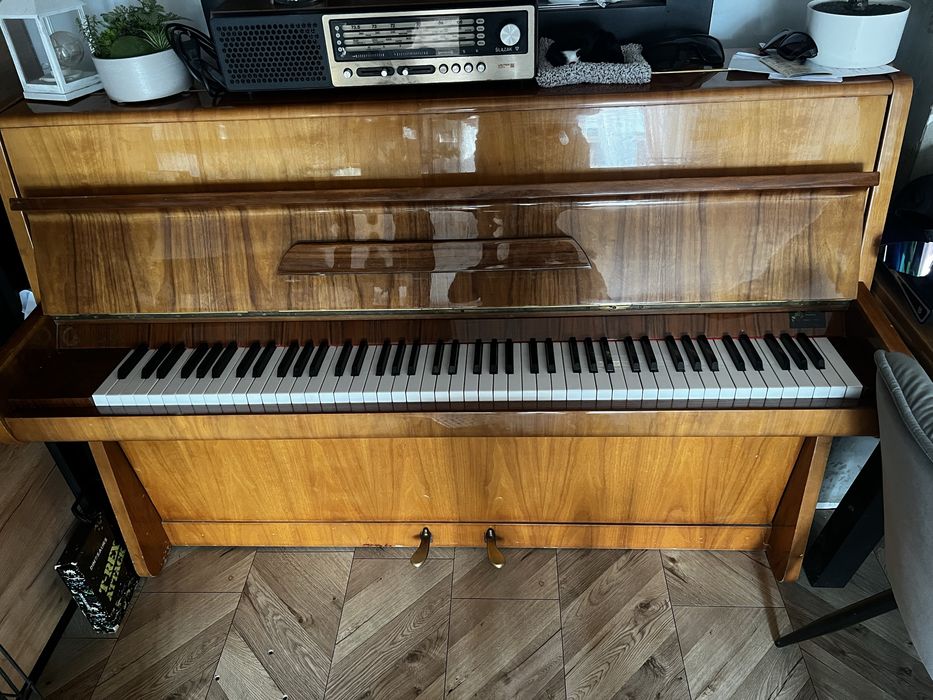 Pianino calisia
