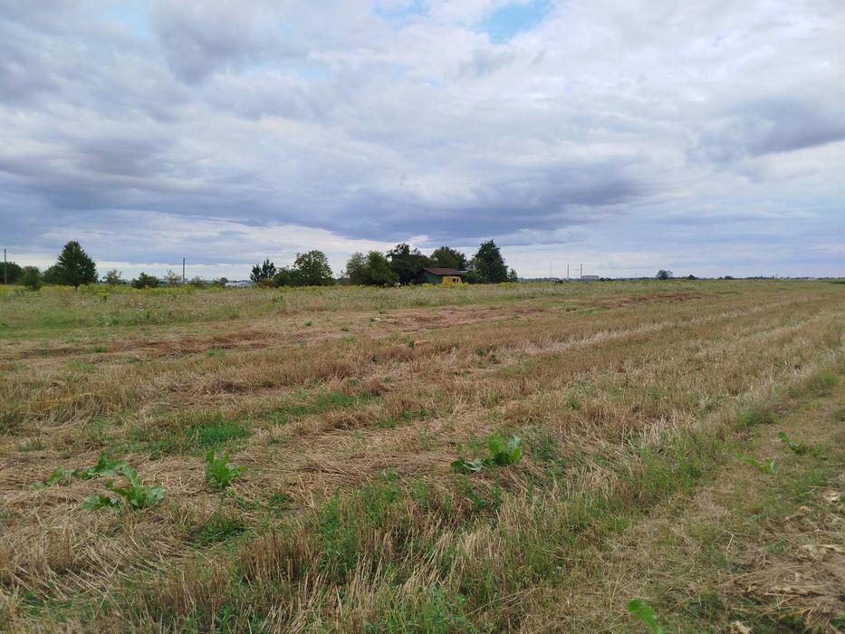Продам земельні ділянки  під забудову в с.Небіжка