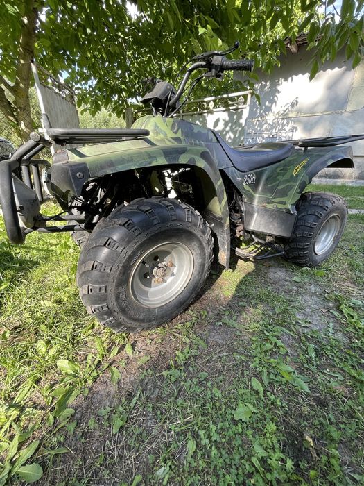 квадроцикл 250 джіашни