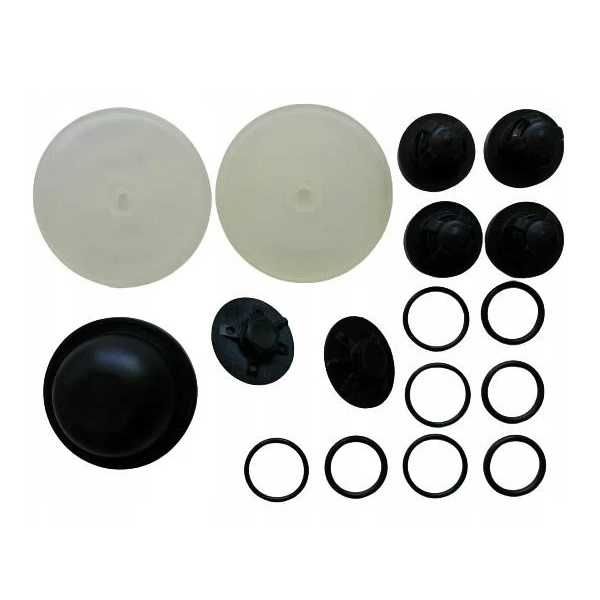 Zestaw naprawczy do pompy OPRYSKIWACZA Biardzki P-120