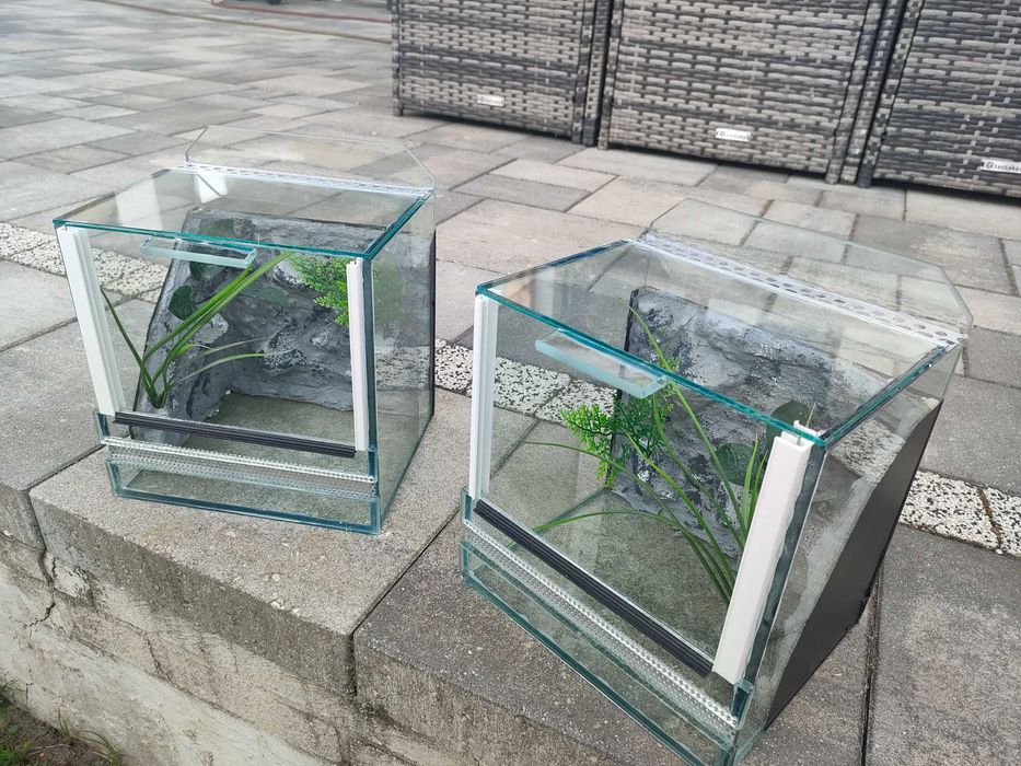 Terrarium M1 dla pająka, ptasznik, skorpion 20x18x20