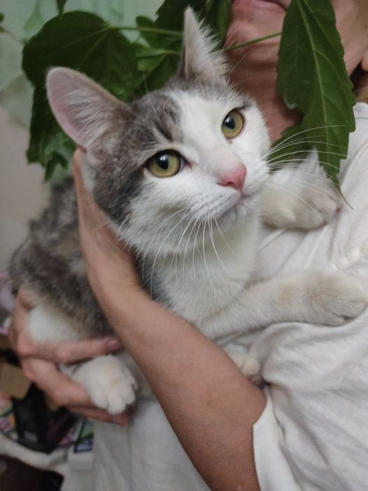 Малыш в добрые,ответственные  ручки