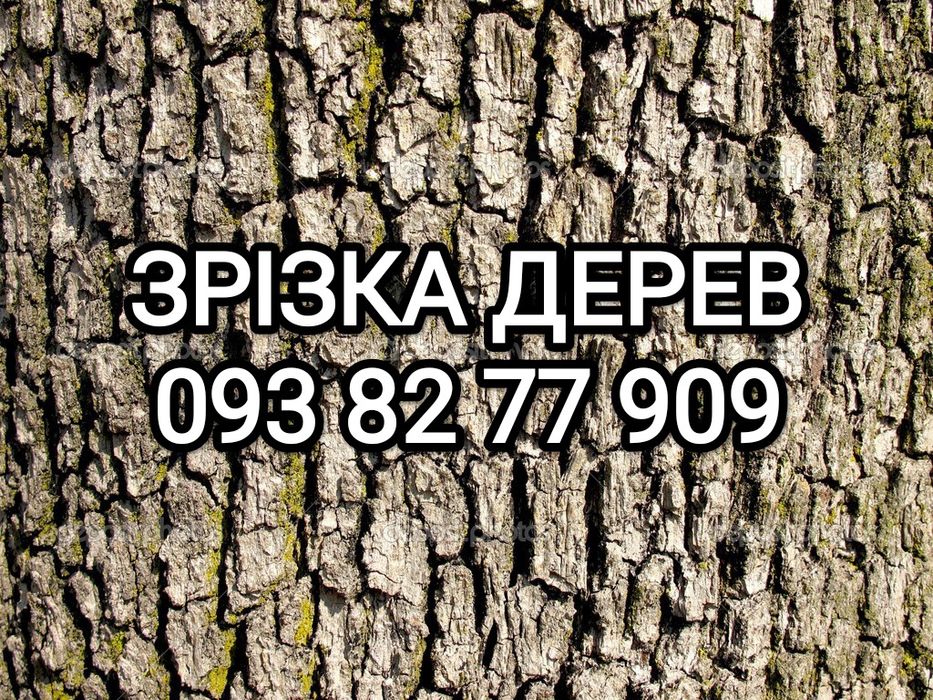Зрізати дерево, зрізання дерев, спиляти дерево, обрізка дерев