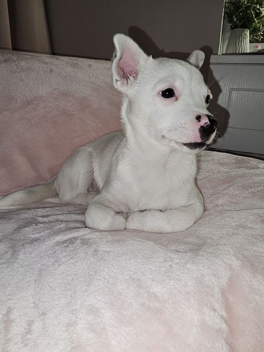 Девочка беленькая маленькая