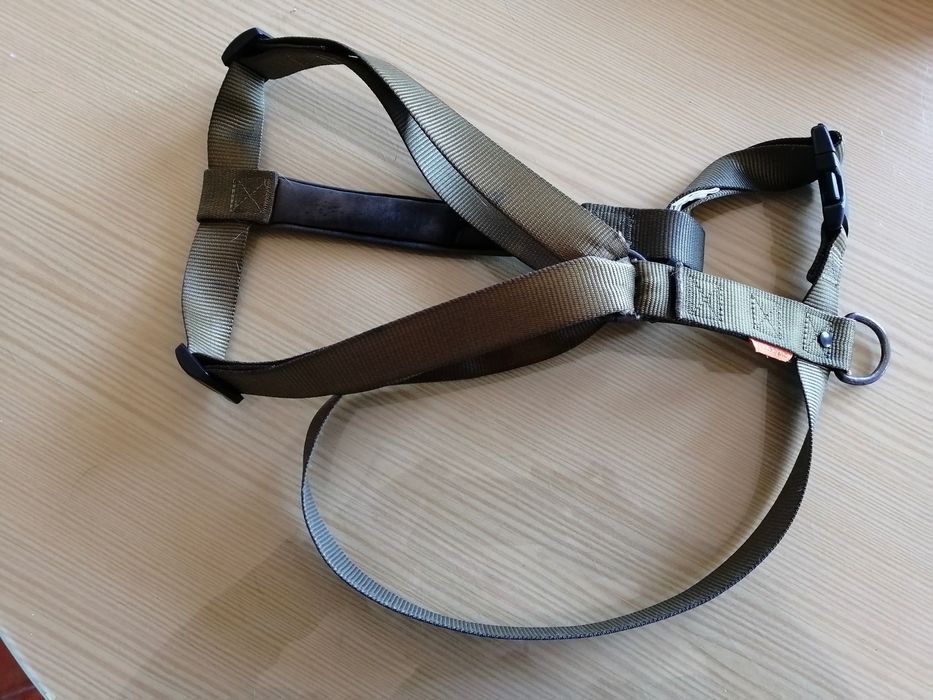 arnés para cão de médio a grande porte