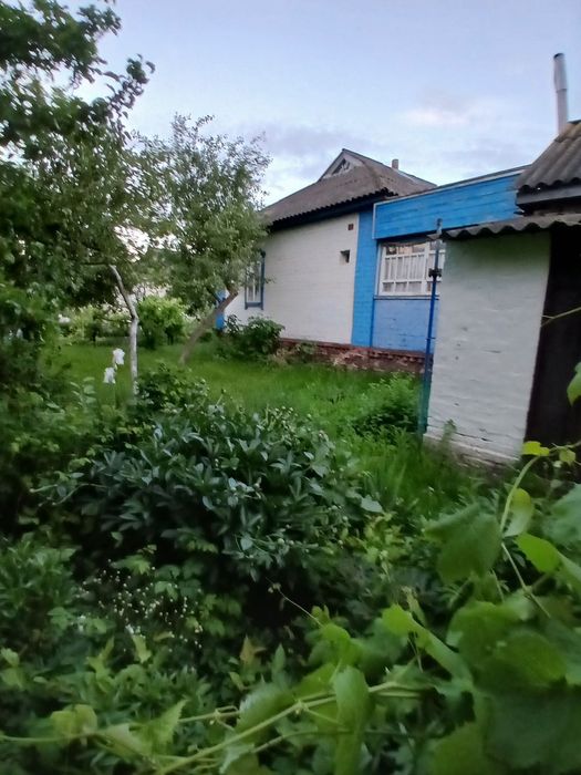 Продається будинок в селі Шатура, Ніжинський район, Чернігівська область