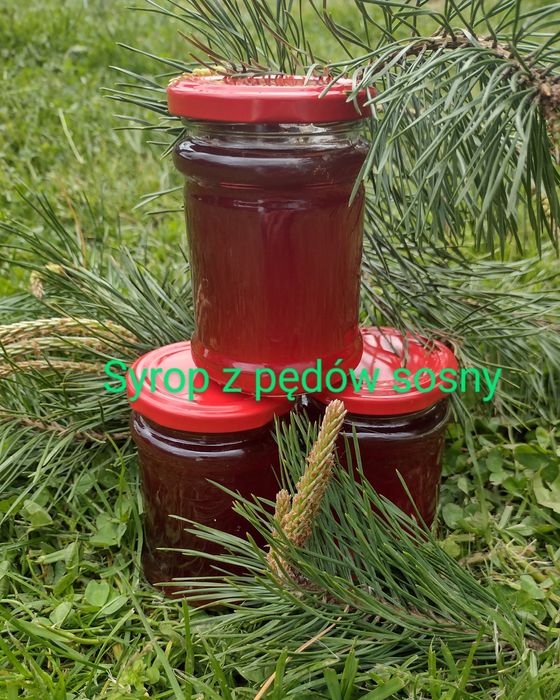 Domowe syropy   / przetwory na odporność