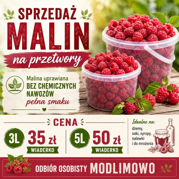 Malina na przetwory