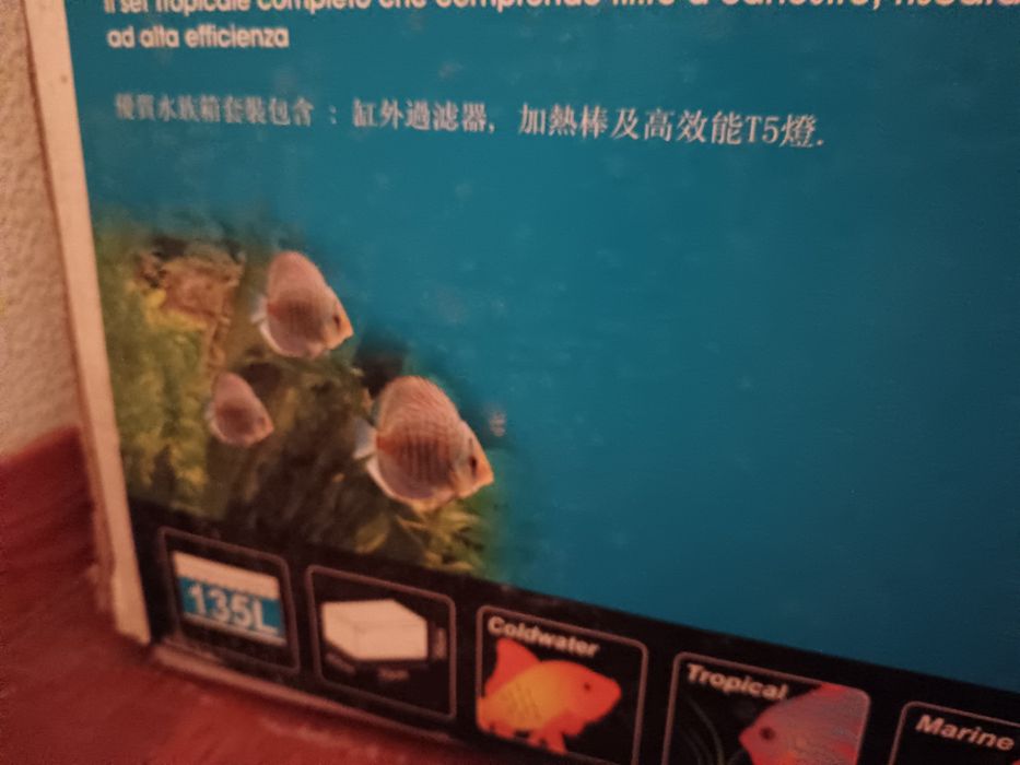 Aquário 135litros novo