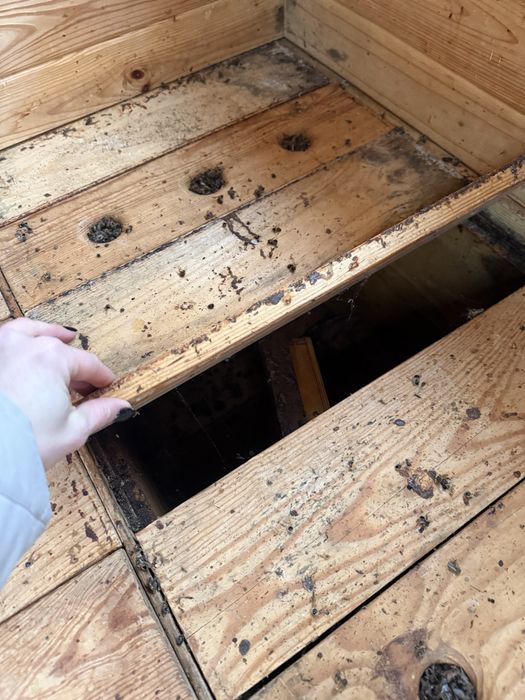 Апідомік на 4 вулики , будинок для бджіл, вулик