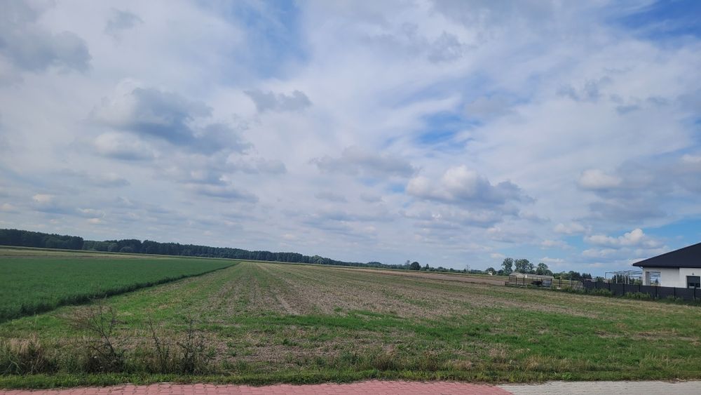 Dwie działki na sprzedaż z możliwością zabudowy – łącznie 2,21 ha | Paciorkowa Wola Nowa (gm. Zwoleń) - Widok 4