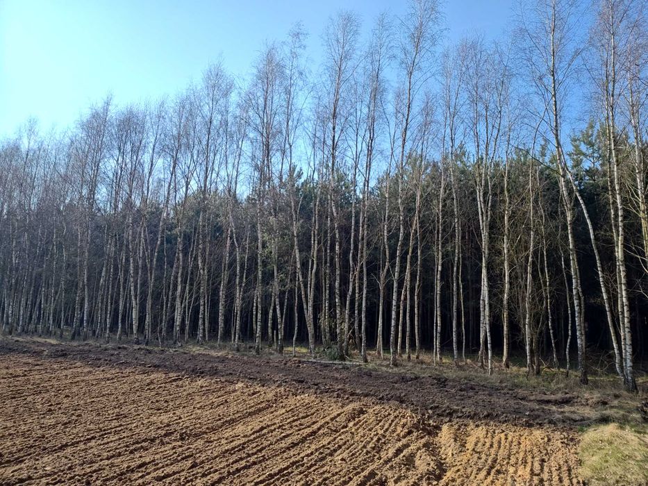 Działka nad jeziorem Długie Grodzieckie i Bugiem, Wszebory, Ceranów