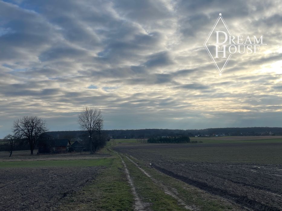 Продаж будинку і земельних ділянок