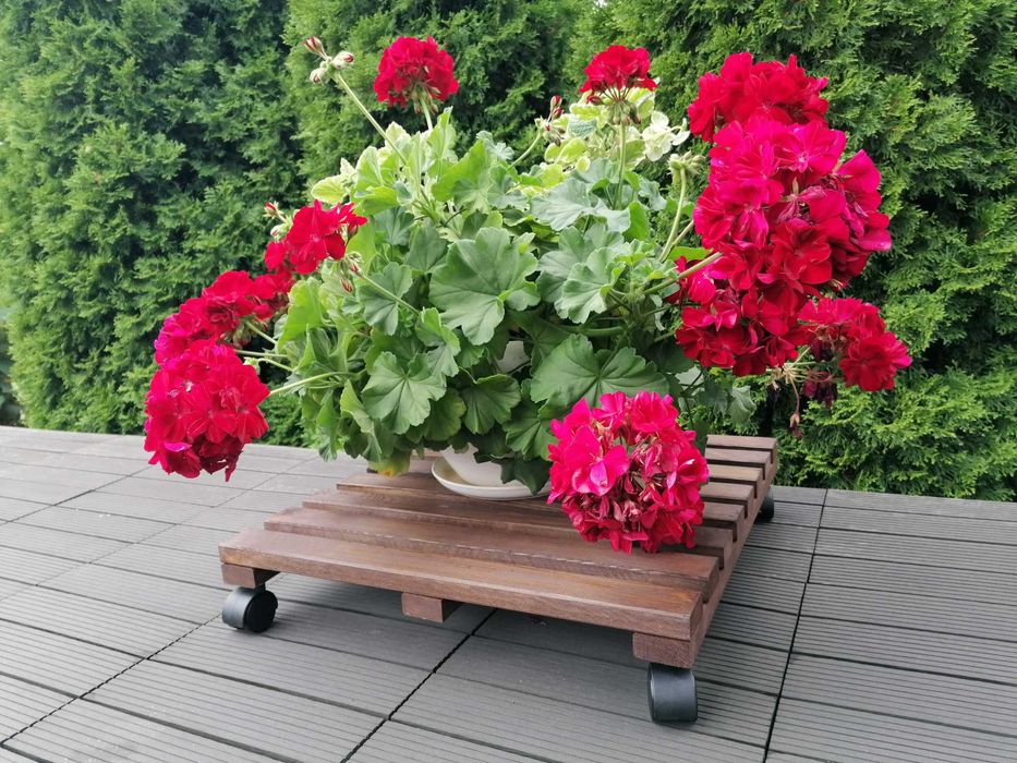 Drewniany kwietnik na kółkach, wózek, stojak 50x50