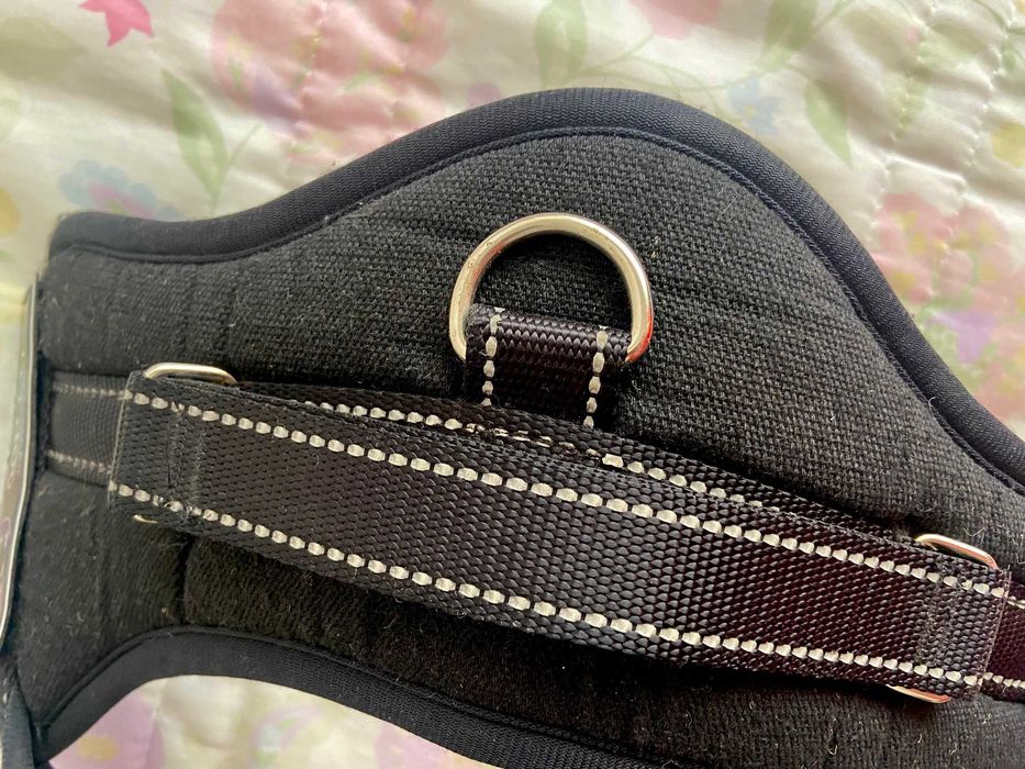 Conjunto de Peitoral e Trela Flexi para Cão Grande