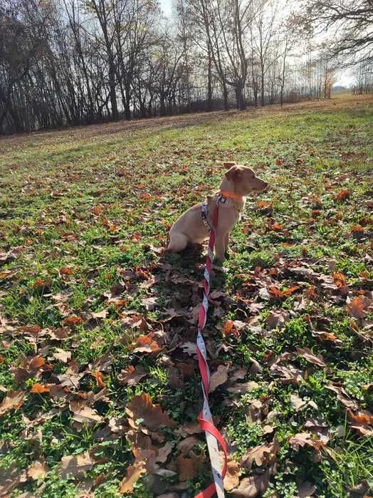 Podaruj lękowej Małgosi świadomy dom