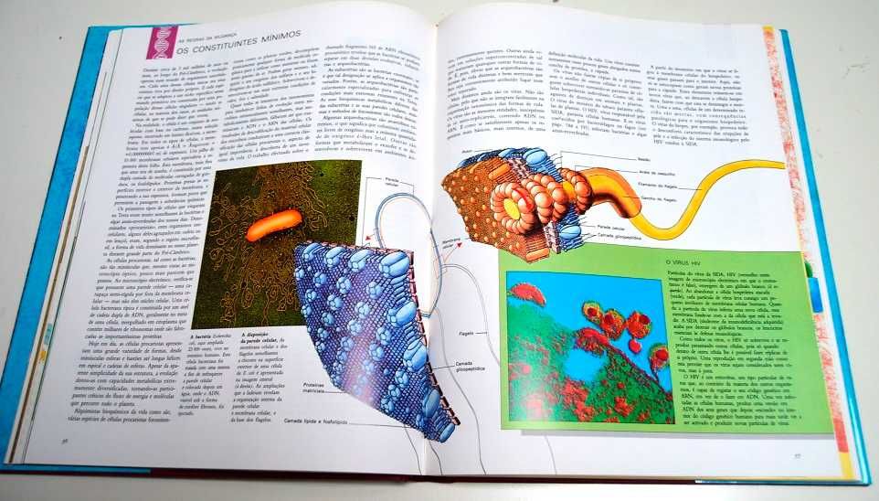 História Natural da Evolução