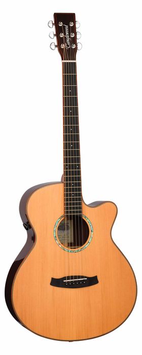 Tanglewood TRS4CE gitara elektroakustyczna z efektami i głośnikiem