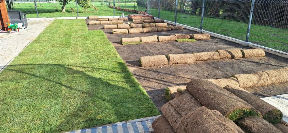 Zakładanie trawnika z rolki , siewu