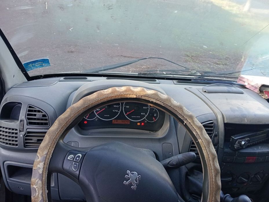 Продам пижо боксор