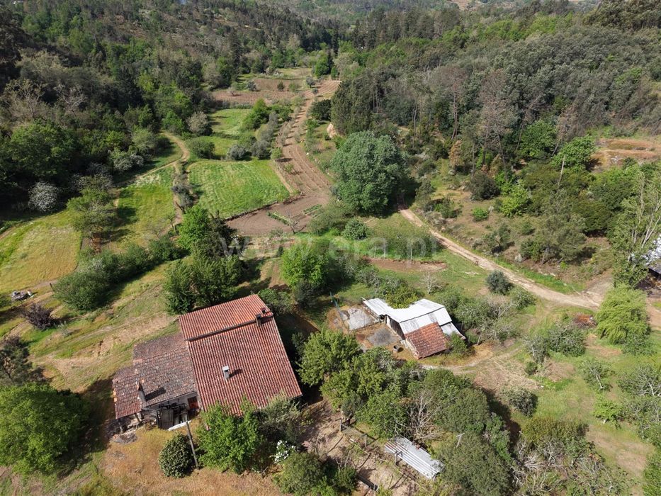 Quinta Rústica Habitável com 4 Hectares + Equipamento Agrícola.

Apres