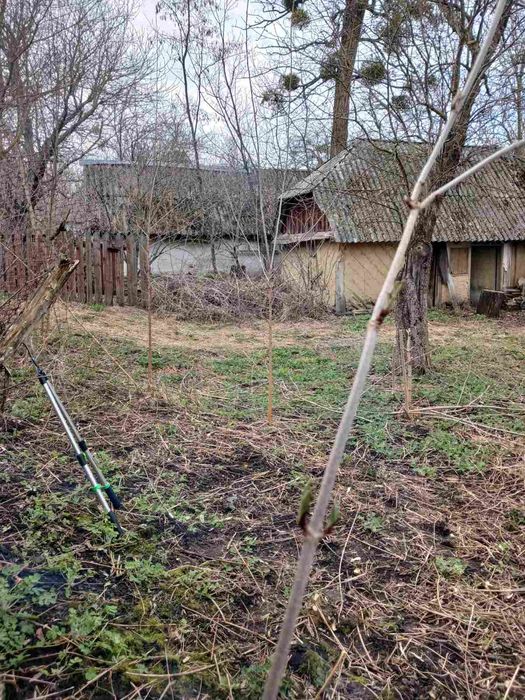 Продам дом, дачу