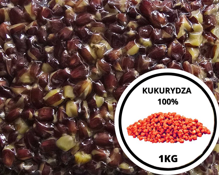 Kukurydza Czerwona 10 x 1KG gotowa/gotowana pakowana próżniowo Zanęta wędkarska SazanBaits