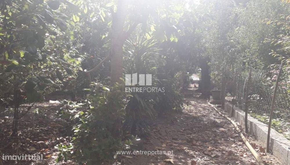 Land for Sale, Vila Nova de Anha, Viana do Castelo.