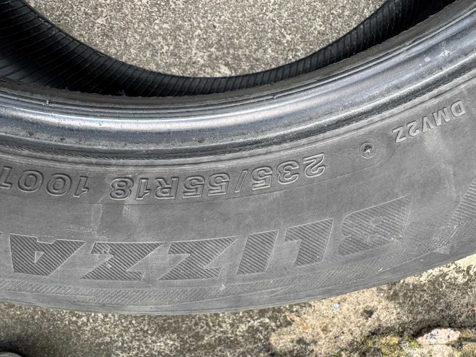 Bridgestone Blizzak DM-V2