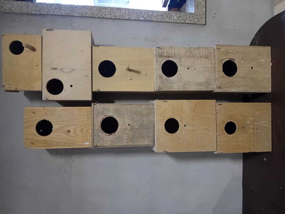 Gaiolas para venda ou toca por redrumped  burkes  ou turquesines